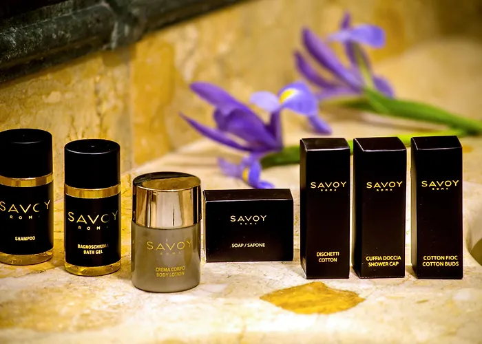 Savoy Hotel 4*